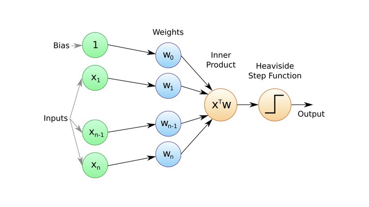 /images/foundations/perceptron.jpg